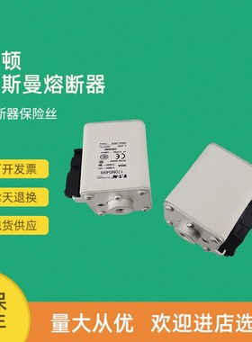 全新快速熔断器保险170M5484 170M5494 170M5495 170M5496