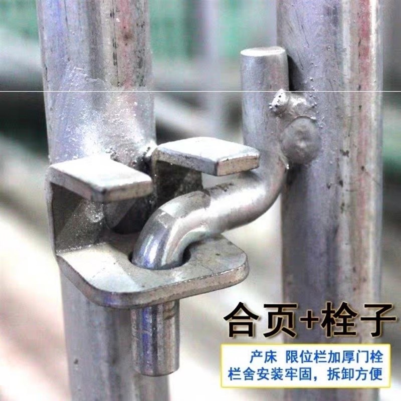 母猪产床吊扣g门扇合页门轴门栓限位栏加厚门栓开关折页 猪定位栏图片