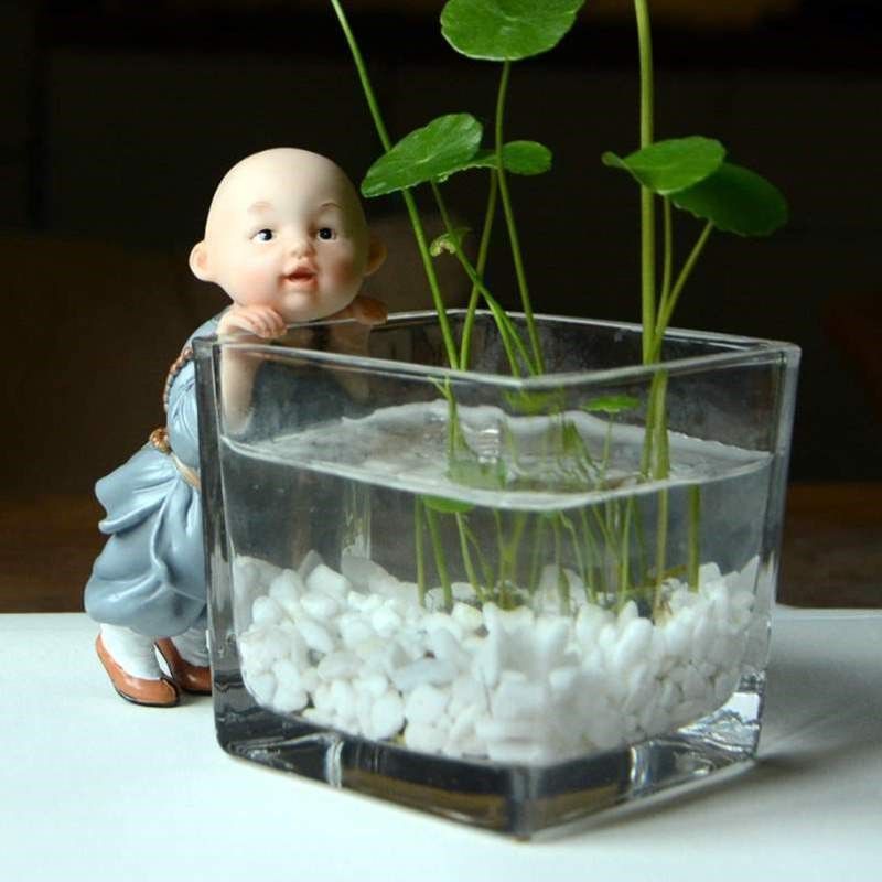 玻璃透明方形绿萝创意容器装饰花器花盆草水养铜钱水培小沙弥桌面,鲜花速递/花卉仿真/绿植园艺,花盆,淘宝优惠券,粉丝福利购,淘宝优惠卷
