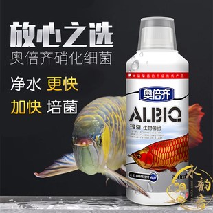 玛豆硝化细菌活菌鱼缸用净水剂奥倍齐反消化硝化菌水族水质稳定剂