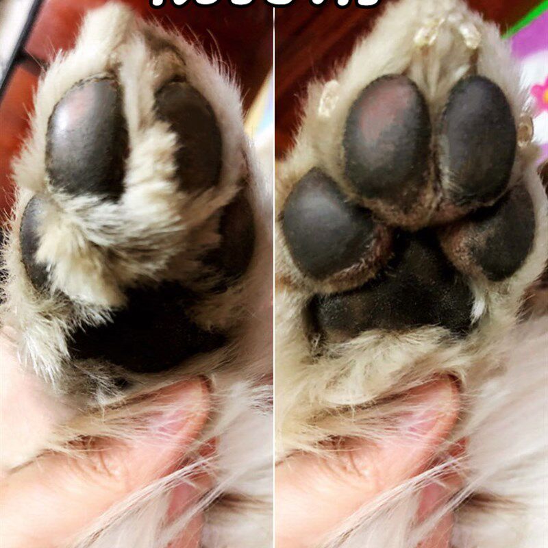 宠物狗狗剃脚毛器脚底修脚毛修剪器推子金毛剃毛器大型犬脚掌神器