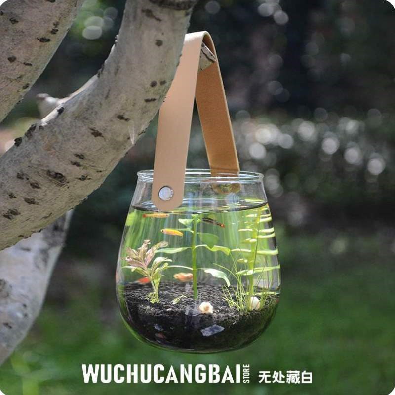 瓶微办公桌水族创意鱼鱼缸造景换水客厅生态小面观赏免景观手提