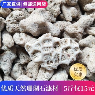 珊瑚骨滤材鱼缸过滤材料净水净化天然珊瑚砂海鲜鱼缸珊瑚石过滤