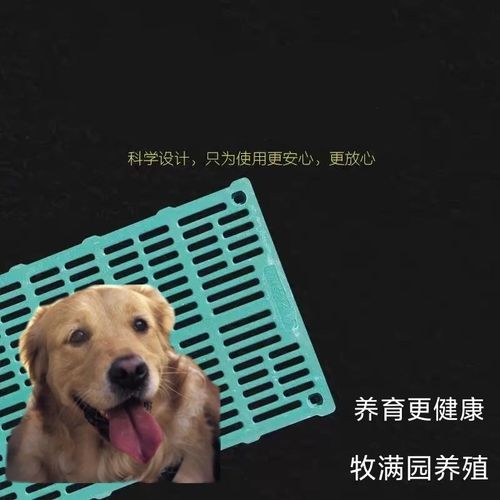 养狗用复合材料漏粪板狗栏狗圈清洁漏粪狗垫脚垫板狗笼宠物狗狗板