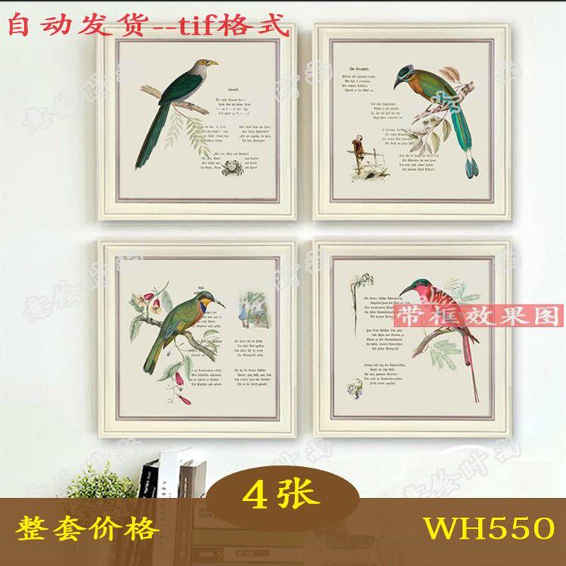 美式乡村装饰画客厅玄关挂画花B鸟田园装饰画微喷画芯素材图片