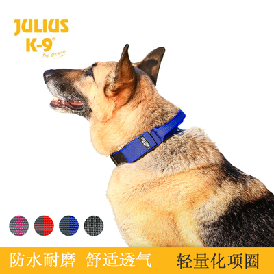 Julius K9德国进口硫化项圈小中大型犬泰迪拉布拉多脖套遛狗防滑