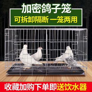 鴿子籠家用帶隔斷大號(hào)鴿子籠養(yǎng)殖籠鴿子配對(duì)籠鴿子用具鴿舍