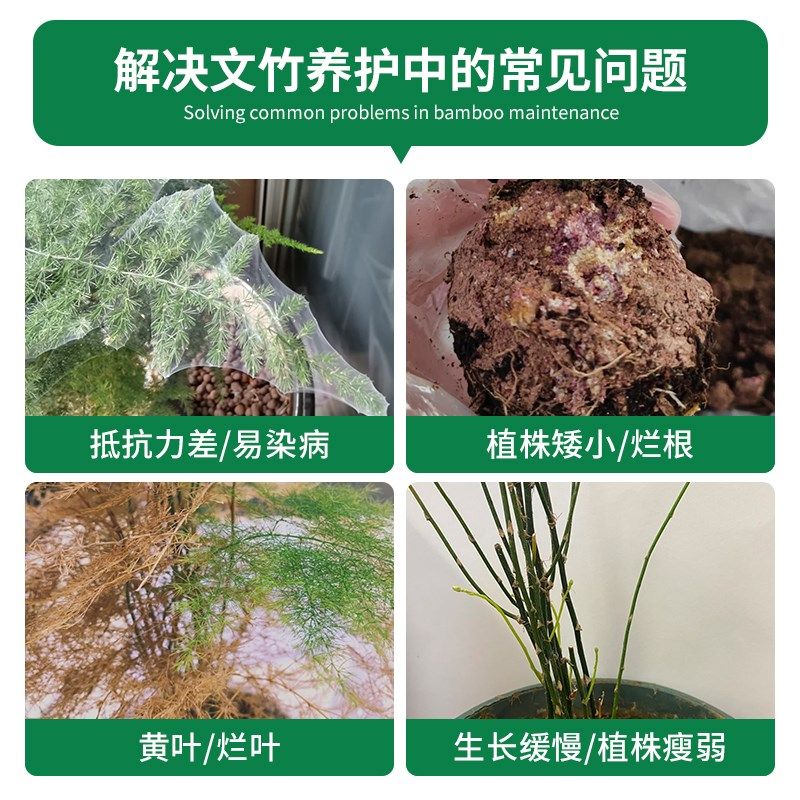 文竹营养液治黄叶干尖家用云竹肥料花肥文竹专用肥文松水培液体肥,鲜花速递/花卉仿真/绿植园艺,家庭园艺肥料,淘宝优惠券,粉丝福利购,淘宝优惠卷