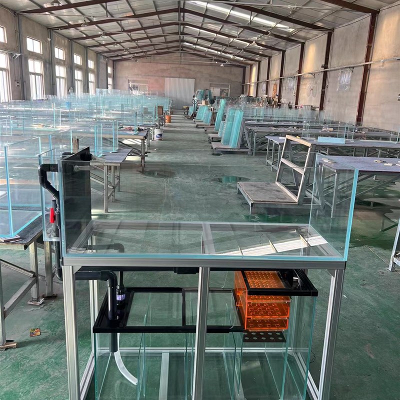 金泰生态溪流缸原生系统背包溢流超白玻璃干湿分离盒金晶兰寿定制