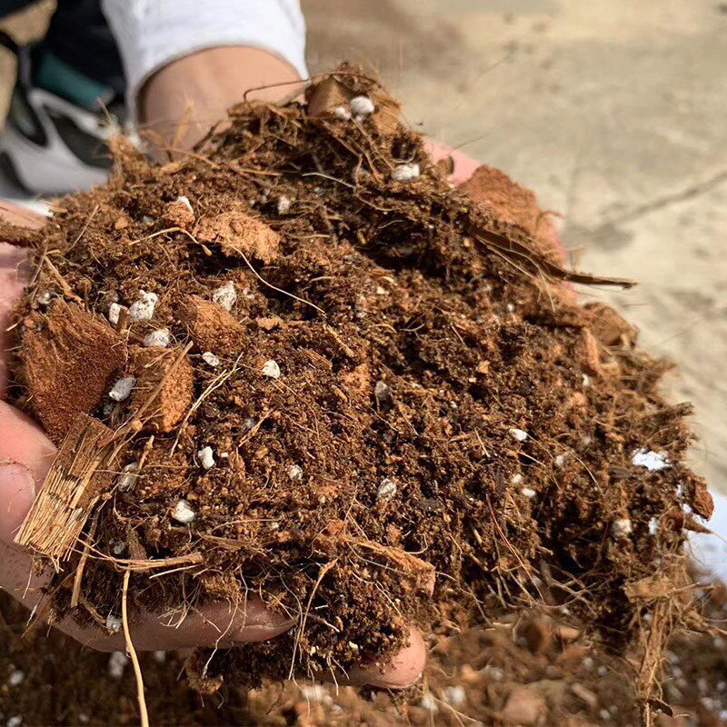 直播中禾蒙诺尔种花种菜基质营养土水稻育秧种菜土壤蔬菜种土专用