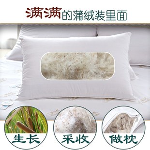 蒲绒枕头蒲棒水毛腊烛水烛香蒲枕芯单人枕护颈椎草透气清香枕头芯