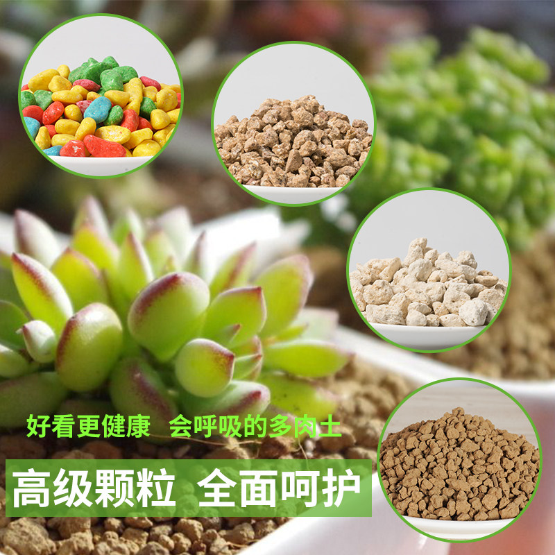 多肉植物营养土铺面石大包赤玉土麦饭石火山石多肉颗粒土5斤包邮,鲜花速递/花卉仿真/绿植园艺,介质/营养土,淘宝优惠券,粉丝福利购,淘宝优惠卷