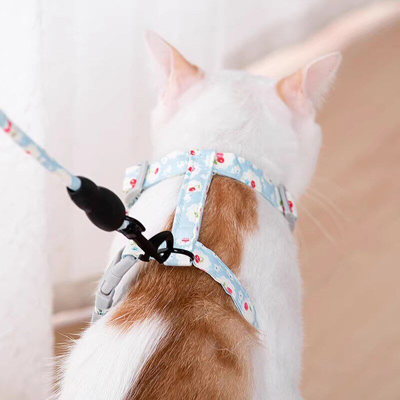 外出专用猫咪牵引绳牵狗绳蓝猫胸背带遛猫链防挣脱兔子绳子拴猫绳
