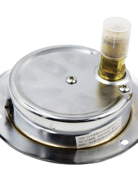 YTN100ZT轴向带边耐震压力表抗震真空表1.6MPA油水压气压红旗仪表