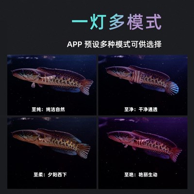 魔点XA鱼缸灯led灯XC防水专用照明水草灯龙鱼观赏灯潜水灯APP控制