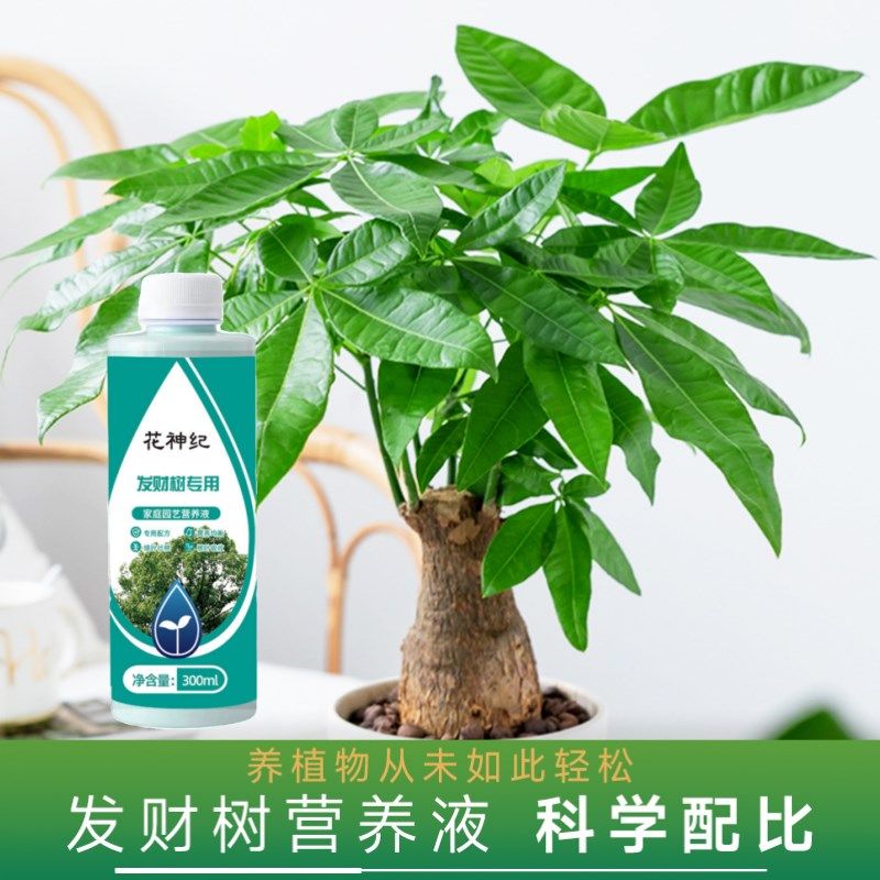 发财树专用肥料浓缩营养液家用绿叶植物盆栽养花防黄叶通用液体肥,鲜花速递/花卉仿真/绿植园艺,家庭园艺肥料,淘宝优惠券,粉丝福利购,淘宝优惠卷