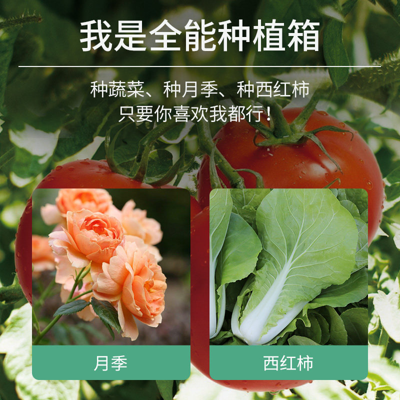 种蔬菜箱神器特大加宽阳台楼顶户外专用家庭院园长方形花盆种植箱,鲜花速递/花卉仿真/绿植园艺,花盆,淘宝优惠券,粉丝福利购,淘宝优惠卷