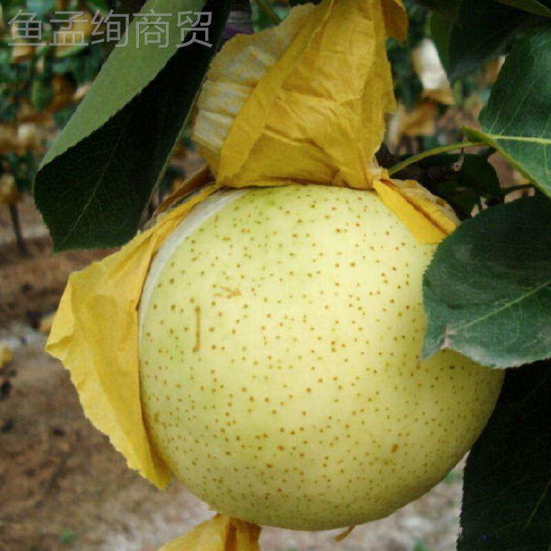 WTF梨套桃袋黄金梨袋翠冠芒梨枇杷柚子葡萄袋枇杷果防雨水石榴套