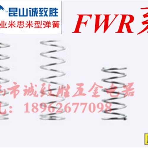 外径基准不锈钢型弹簧 同款替代FWR6-35-A/FWR16-40-A
