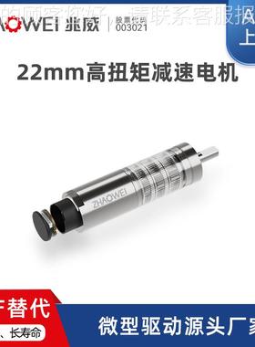 42高扭驱矩有刷2电机26减速工业自动化ZWSMD022平衡动机构替代