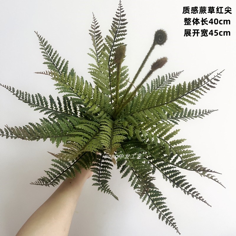 高仿真大蕨叶肾蕨蕨类蕨草植物波斯草绿植橱窗墙面造景软装摆件