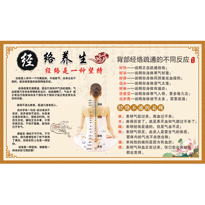 经络养生简介墙纸中医馆诊所背景墙装饰壁画展板海报推拿理疗壁纸