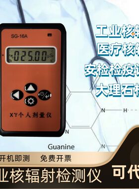 便携式辐射检测仪射线个人计量仪放射线报警仪计量片监测