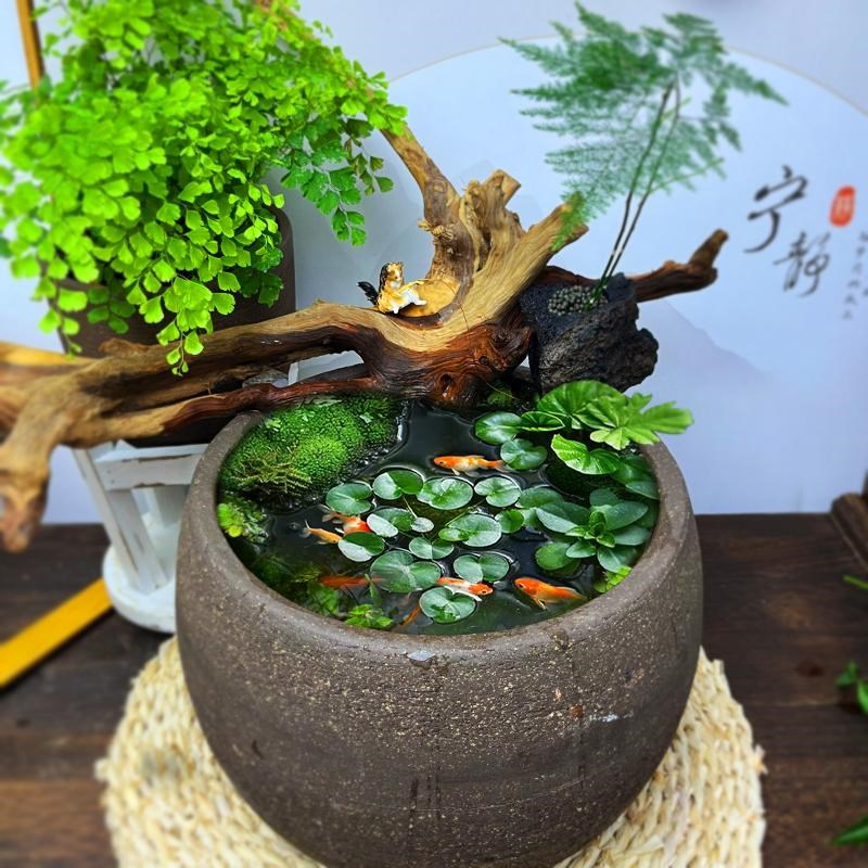 庭院特大号鱼缸荷睡莲钵紫砂盆粗陶透气陶罐欧式盆景盆