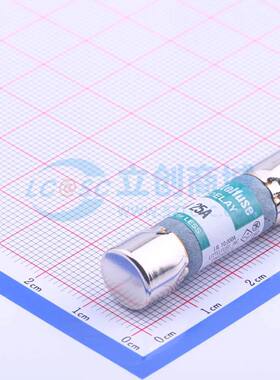 一次性保险丝 0FLM025.T - 原装正品