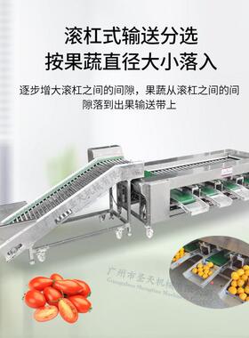水果分拣机土豆大蒜分级机选果机果蔬水果分选机大小分拣不伤果