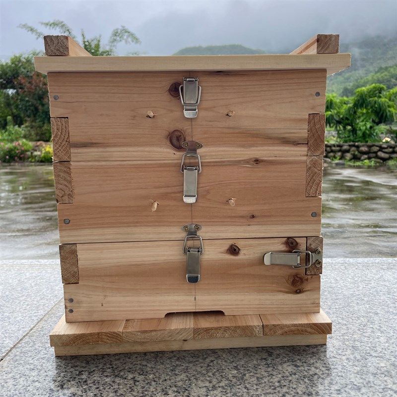 中蜂格子箱三层五层杉木蜂箱养蜂诱蜂桶老式土养蜂箱,畜牧/养殖物资,养殖用具,淘宝优惠券,粉丝福利购,淘宝优惠卷