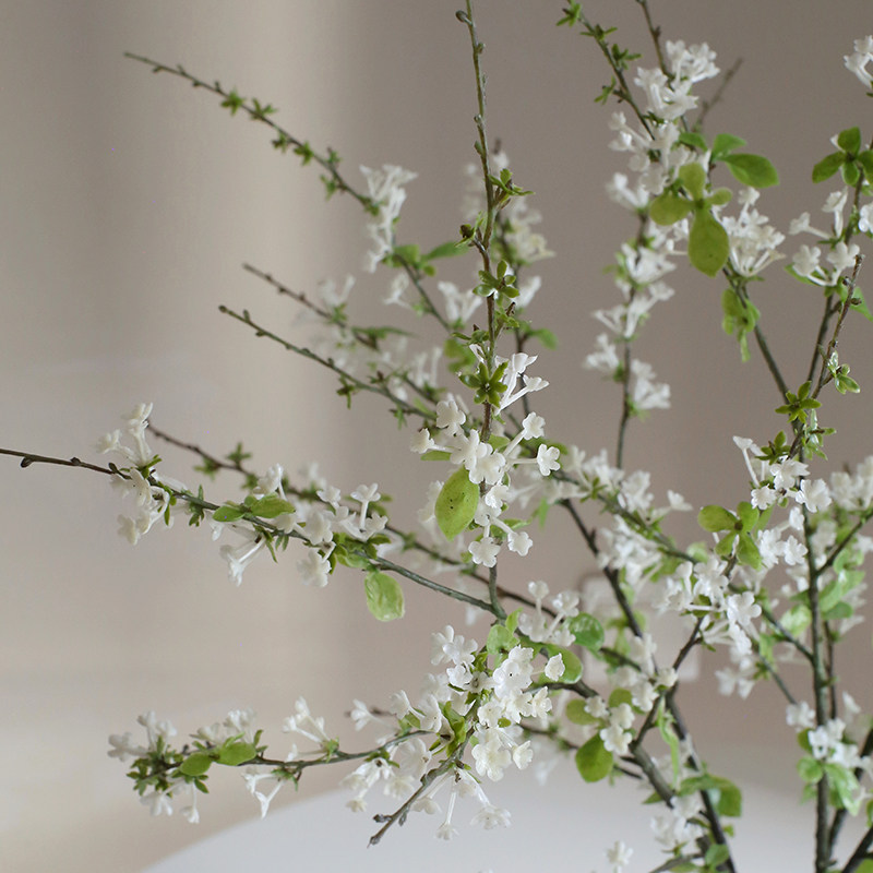 雪柳手球枝条仿真假装饰束艺家居饰品塑料插餐桌,家居饰品,仿真花/假花,淘宝优惠券,粉丝福利购,淘宝优惠卷