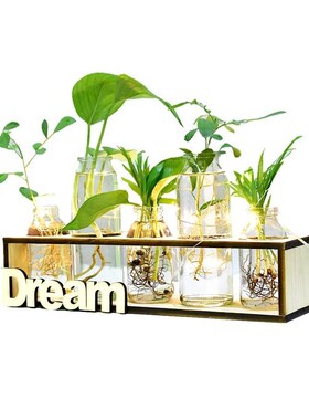 创意木架水培瓶插器办公室水培盆