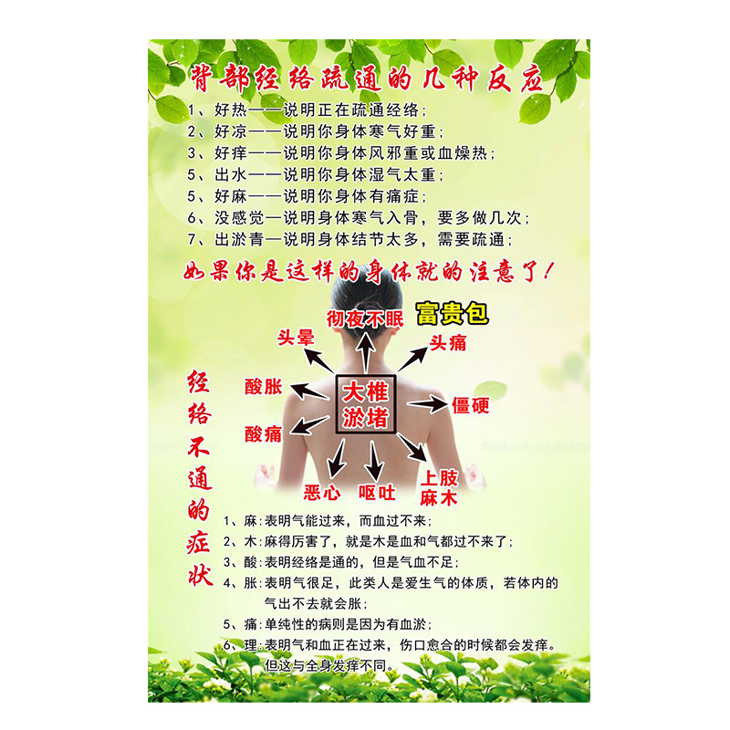 美容院装饰墙壁挂画海报养生馆背部经络疏通的反应症状中医馆挂图