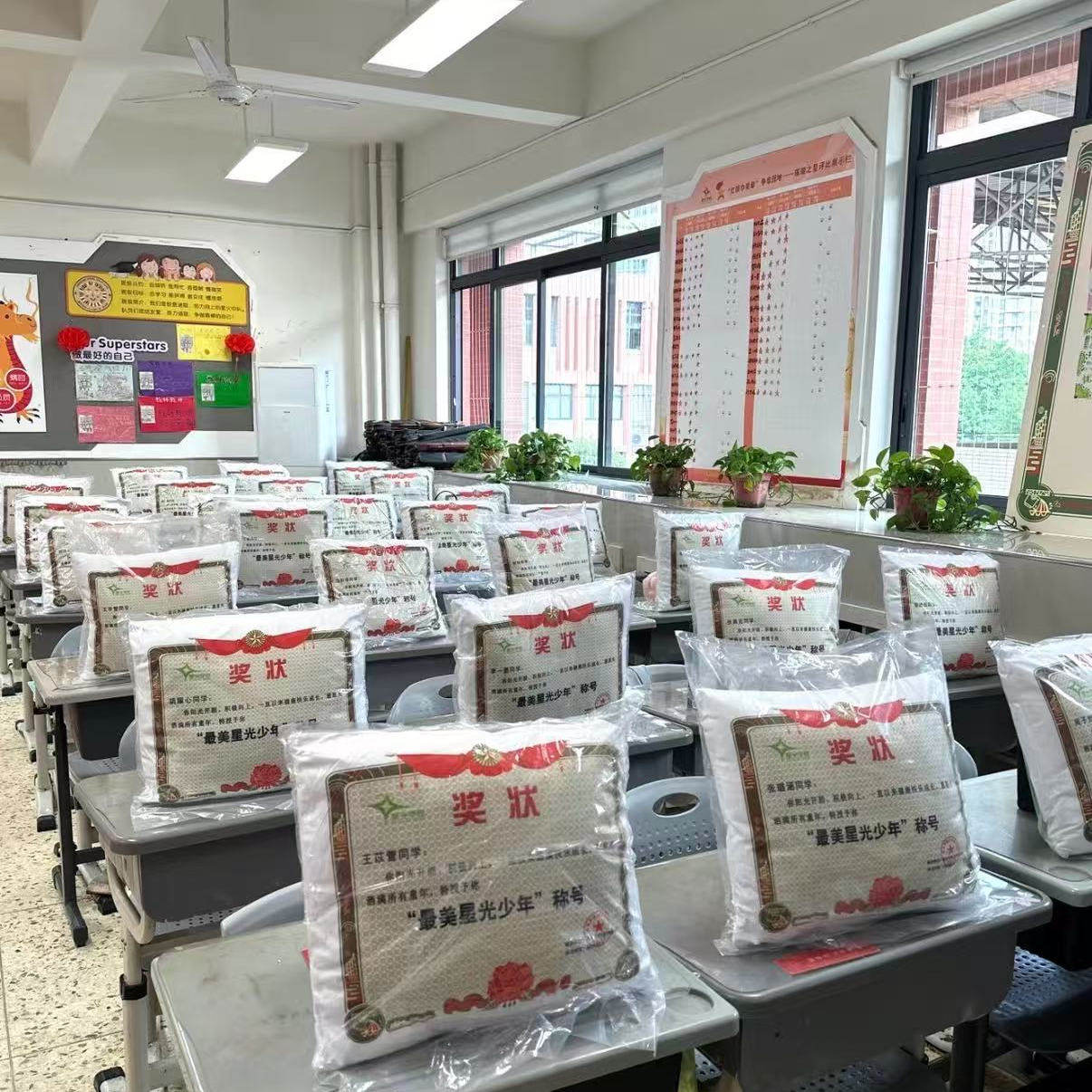 奖状枕头枕的很强可定制抱枕妈妈老婆教师毕业diy靠枕个性定做