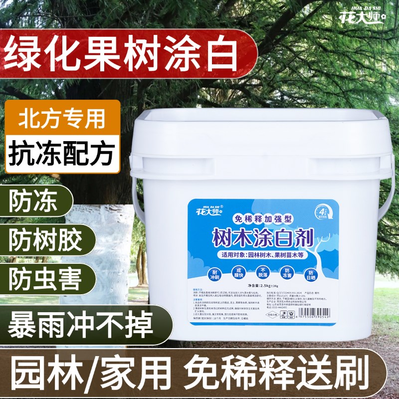 免稀释树木涂白剂树干果树防虫大树柑橘冬季园林植物防冻树木刷白