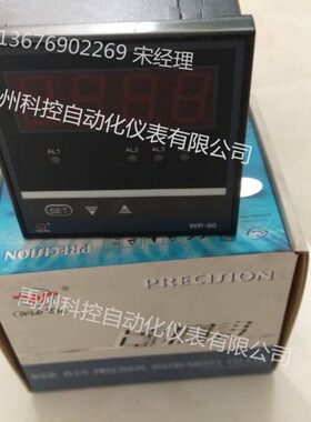 双屏数显表温控仪压力表转速WP-D904-01-08-2H2L表上润