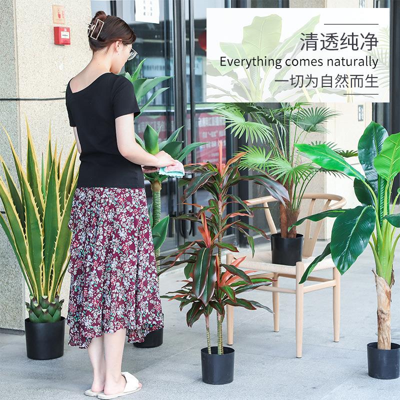 跨 境仿真植物红树盆芭蕉树栽铁假植物盆景室内酒店装饰植摆件芭
