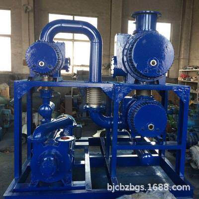 真空泵罗茨真空泵机组及真空压缩机高效电动注氧仪增压泵