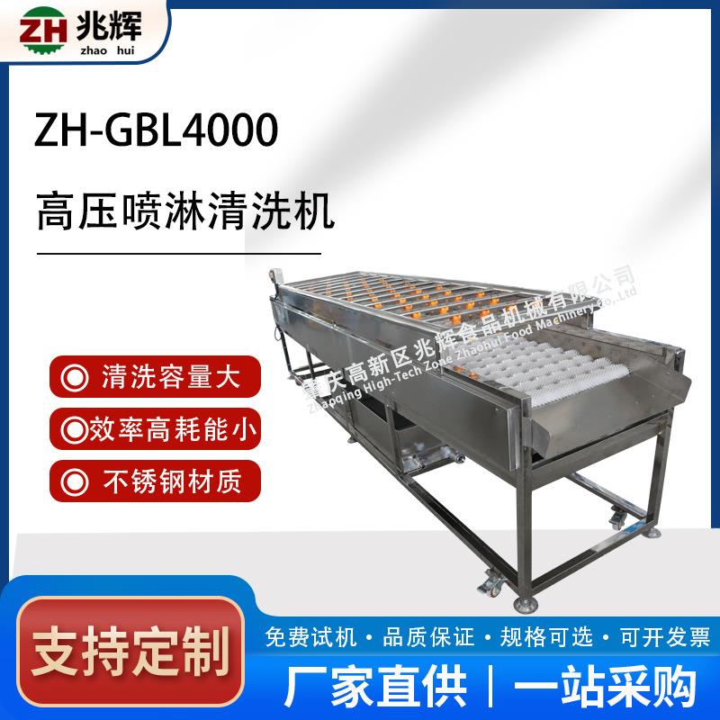 厂价直供喷淋式毛刷洗果机苹果水蜜桃清洗机柠檬清洗机