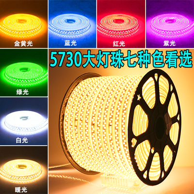 工程led灯带客厅户外超亮养殖亮化家装饰防水软灯条220v白光暖光