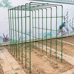 爬藤架黄瓜葡萄架豆角架子丝瓜种菜阳台支架杆庭院户外植物支撑杆