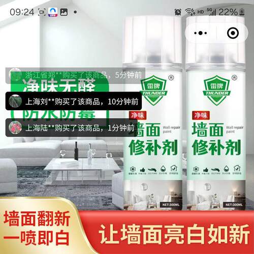 雷牌墙面修补剂特莱维尔防水霉墙壁自喷漆室内外墙翻新白色补墙膏