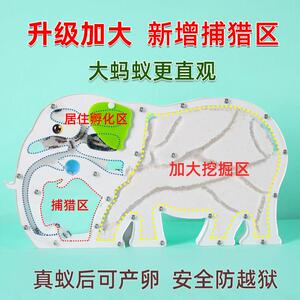 奇趣馆蚂蚁工坊别墅家园城堡生态学生蚁巢蚁箱庄园部落家园沙窝巢