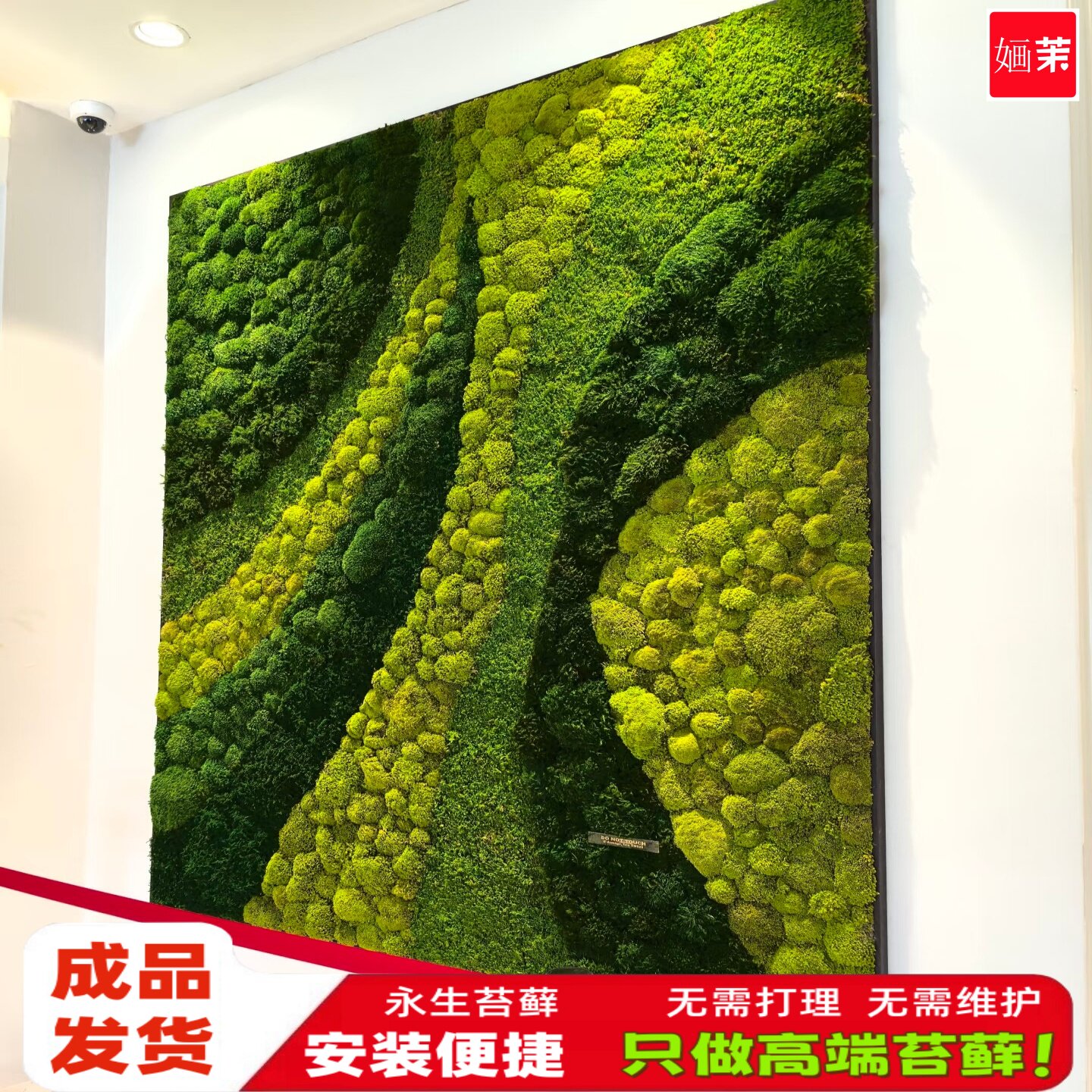 永生苔藓植物墙彷真绿色植物室内公司装饰背景墙无需打理成品发货