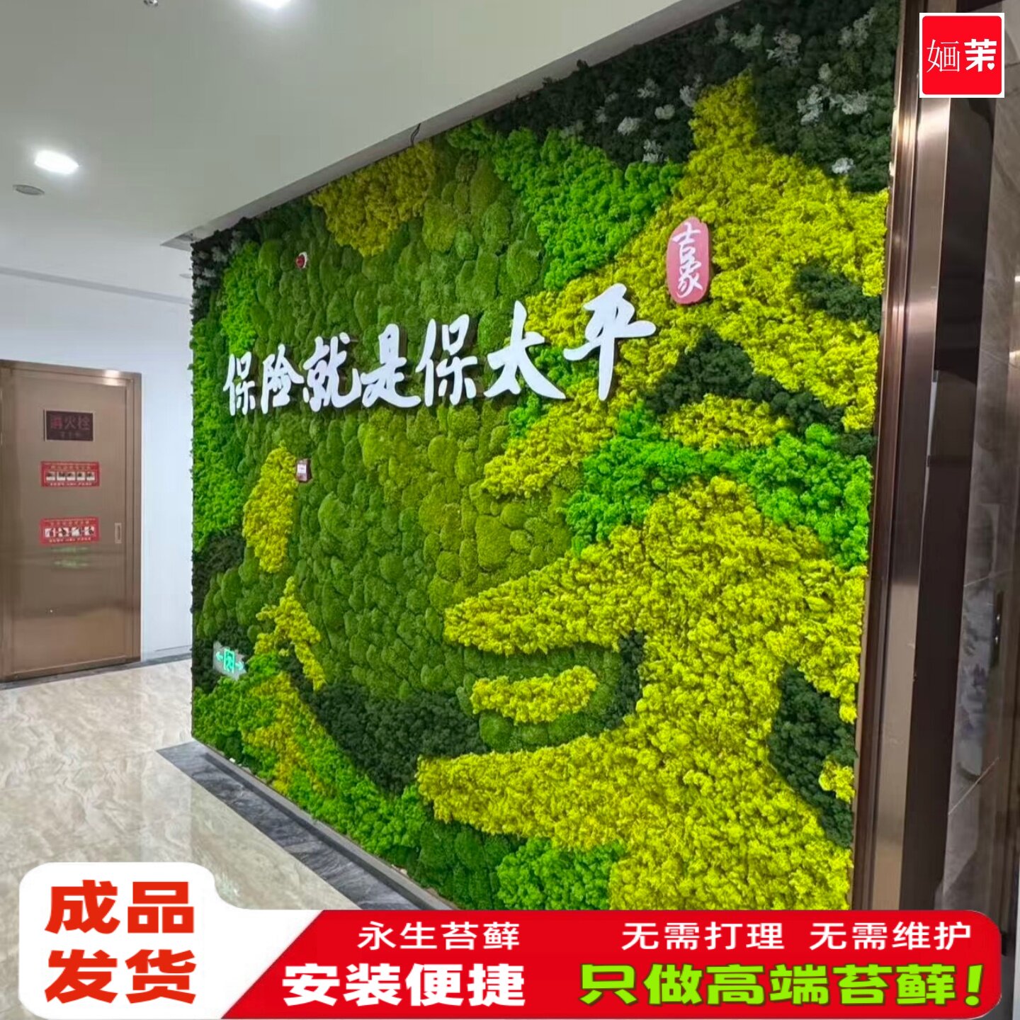 永生大灰藓永生大羽藓永生苔藓植物墙室内装修造景仿真苔藓铺面