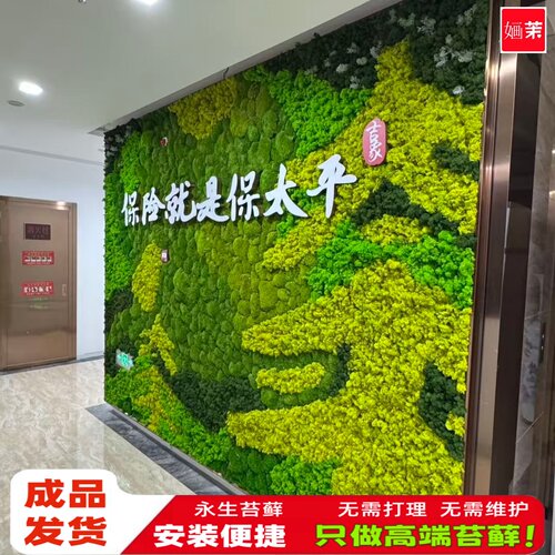 永生大灰藓永生大羽藓永生苔藓植物墙室内装修造景仿真苔藓铺面