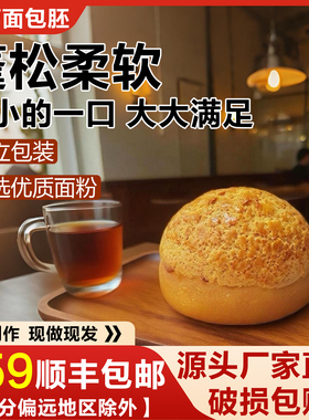 手工菠萝包胚港式风味手撕面包营养早餐即食商用半成品酥皮菠萝油