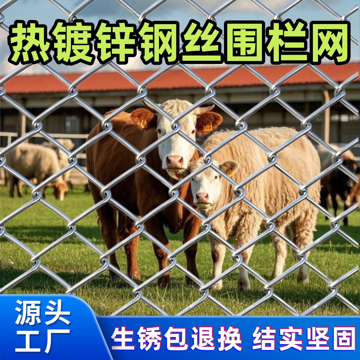 镀锌铁丝网养殖围栏圈钢丝网果园户外隔离防护网勾花网网格养鸡网,五金/工具,护栏/隔离栏,淘宝优惠券,粉丝福利购,淘宝优惠卷