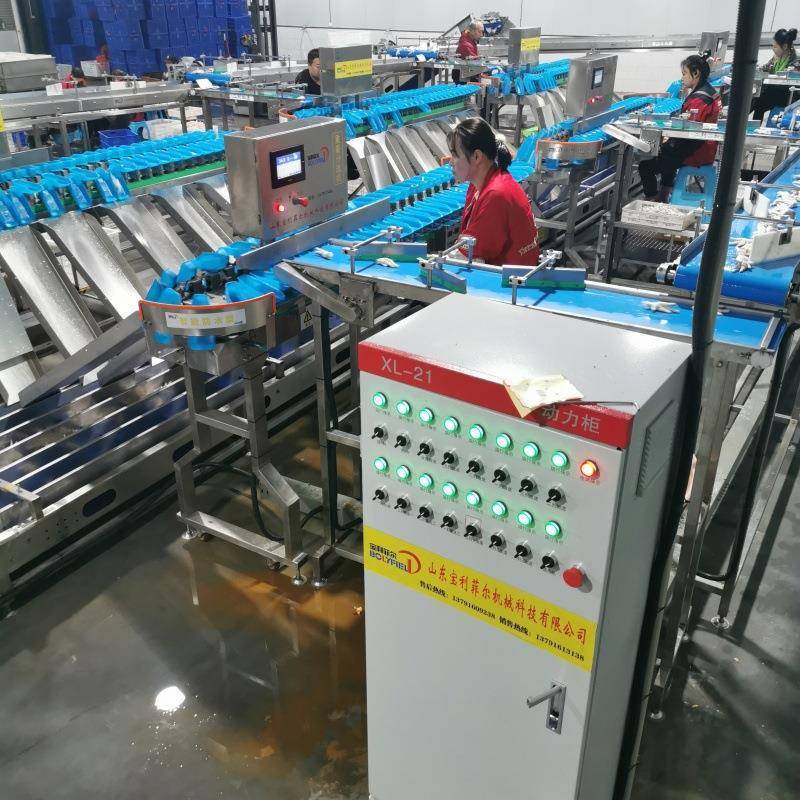 鸡爪分选机鸡腿牡蛎重量分选机龙虾分选机海参高精度称重分选机,清洗/食品/商业设备,其他食品加工设备,淘宝优惠券,粉丝福利购,淘宝优惠卷